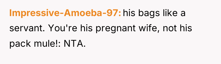 Impressive-Amoeba-97 his bags like a servant. You're his pregnant wife,...