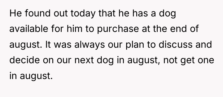 He found out today that he has a dog available...