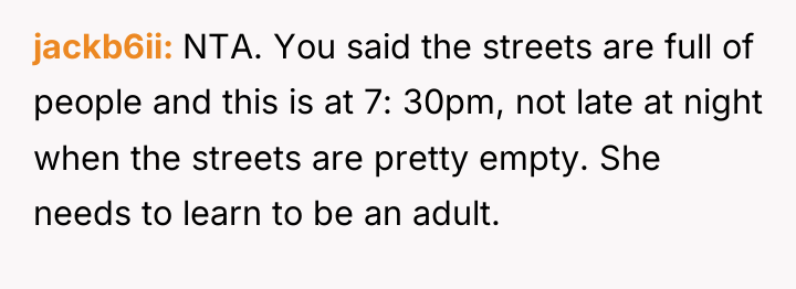 jackb6ii NTA. You said the streets are full of people...