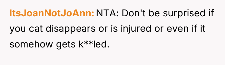 ItsJoanNotJoAnn NTA: Don't be surprised if you cat disappears or...