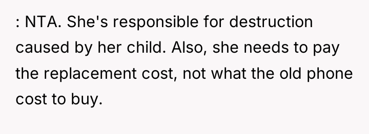 : NTA. She's responsible for destruction caused by her child....