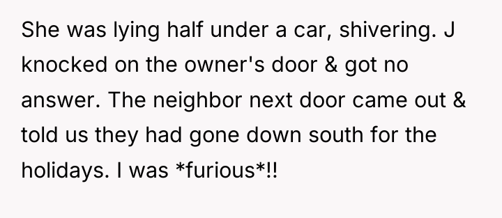 She was lying half under a car, shivering. J knocked...