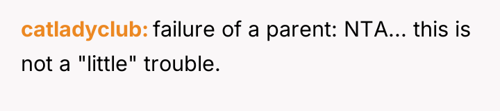 catladyclub failure of a parent: NTA... this is not a...