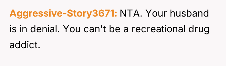 Aggressive-Story3671 NTA. Your husband is in denial. You can't be...