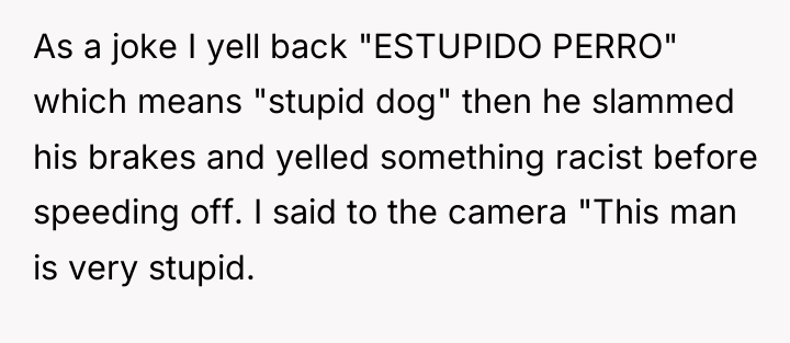 As a joke I yell back "ESTUPIDO PERRO" which means...