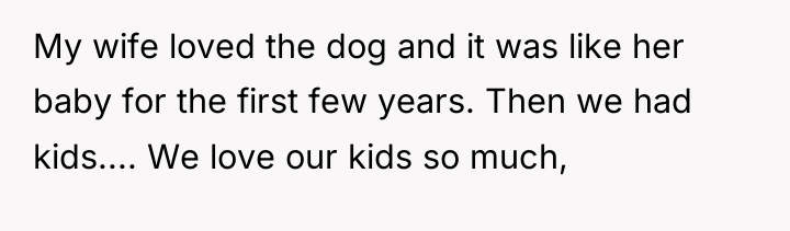 My wife loved the dog and it was like her...