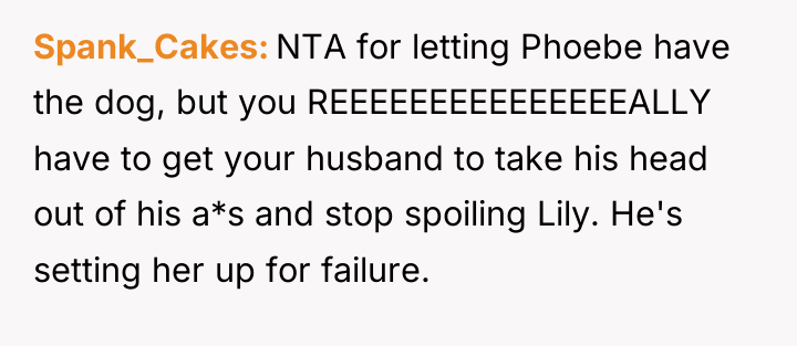 Spank_Cakes NTA for letting Phoebe have the dog, but you...