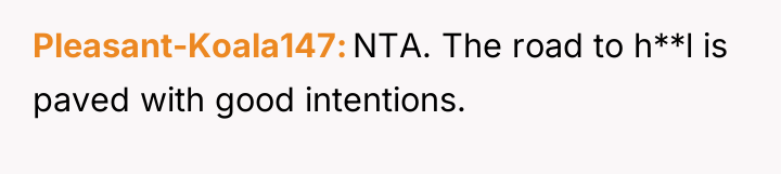 Pleasant-Koala147 NTA. The road to h**l is paved with good...