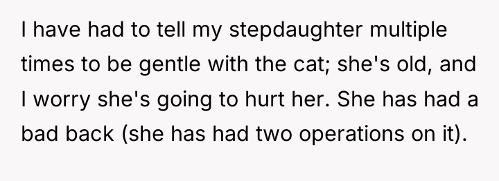 I have had to tell my stepdaughter multiple times to...