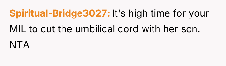 Spiritual-Bridge3027 It's high time for your MIL to cut the...