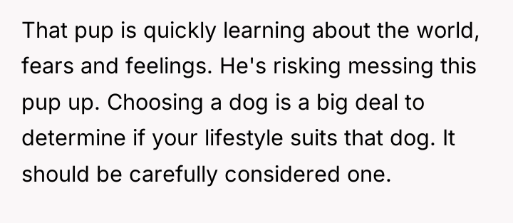 That pup is quickly learning about the world, fears and...