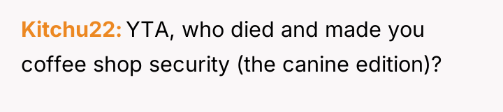 Kitchu22 YTA, who died and made you coffee shop security...