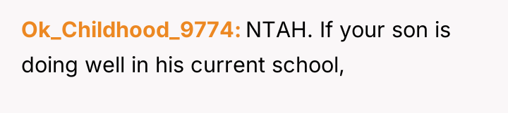 Ok_Childhood_9774 NTAH. If your son is doing well in his...
