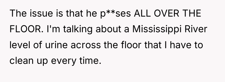 The issue is that he p**ses ALL OVER THE FLOOR....