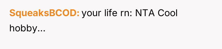 SqueaksBCOD your life rn: NTA Cool hobby...