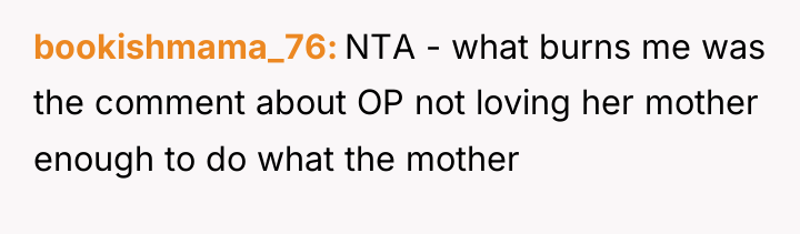 bookishmama_76 NTA - what burns me was the comment about...