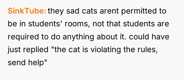 SinkTube they sad cats arent permitted to be in students'...