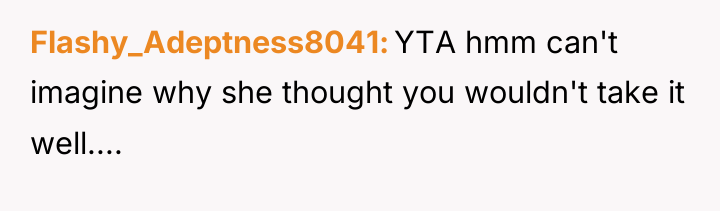 Flashy_Adeptness8041 YTA hmm can't imagine why she thought you wouldn't...