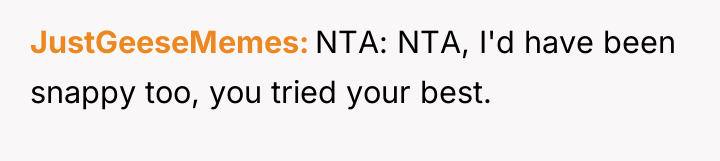 JustGeeseMemes NTA: NTA, I'd have been snappy too, you tried...
