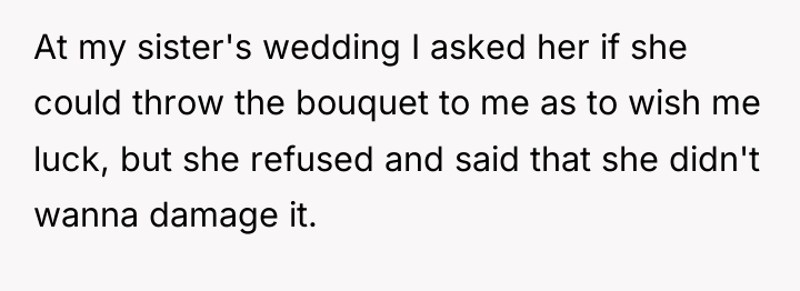 At my sister's wedding I asked her if she could...