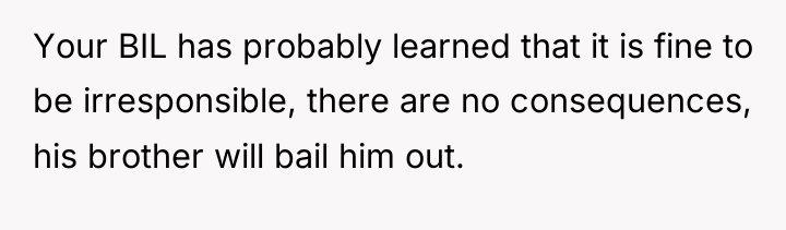 Your BIL has probably learned that it is fine to...