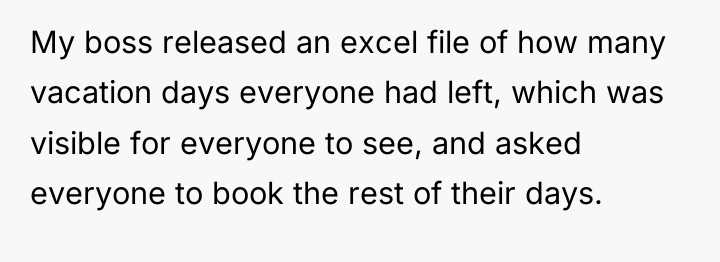 My boss released an excel file of how many vacation...