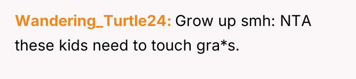 Wandering_Turtle24 Grow up smh: NTA these kids need to touch...