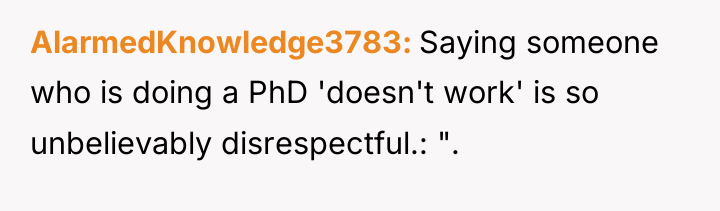 AlarmedKnowledge3783 Saying someone who is doing a PhD 'doesn't work'...