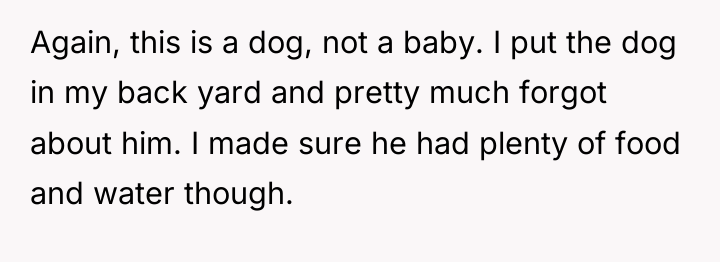 Again, this is a dog, not a baby. I put...