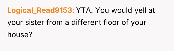 Logical_Read9153 YTA. You would yell at your sister from a...