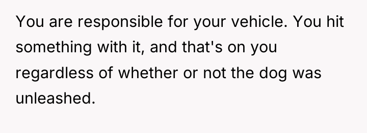 You are responsible for your vehicle. You hit something with...