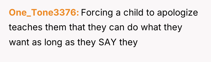 One_Tone3376 Forcing a child to apologize teaches them that they...