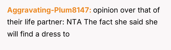 Aggravating-Plum8147 opinion over that of their life partner: NTA The...