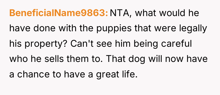 BeneficialName9863 NTA, what would he have done with the puppies...