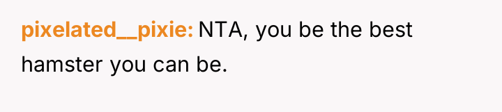 pixelated__pixie NTA, you be the best hamster you can be.