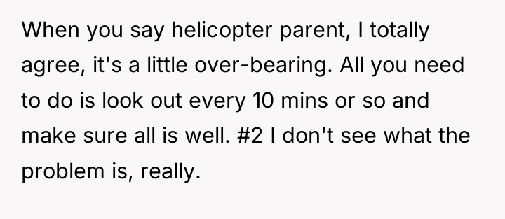 When you say helicopter parent, I totally agree, it's a...
