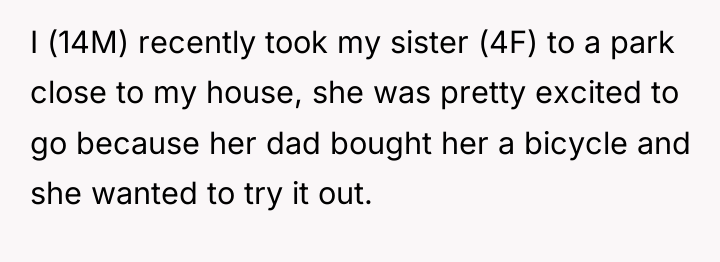 I (14M) recently took my sister (4F) to a park...