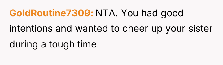 GoldRoutine7309 NTA. You had good intentions and wanted to cheer...