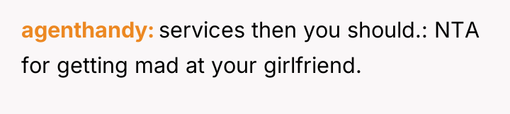 agenthandy services then you should.: NTA for getting mad at...