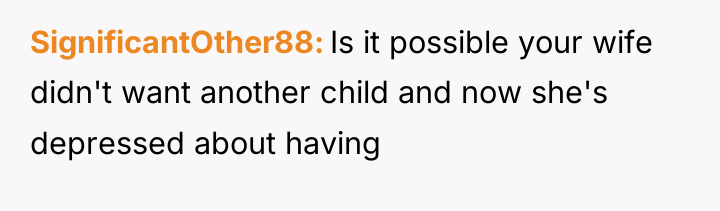 SignificantOther88 Is it possible your wife didn't want another child...
