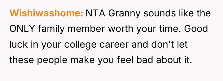 Wishiwashome NTA Granny sounds like the ONLY family member worth...