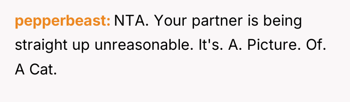 pepperbeast NTA. Your partner is being straight up unreasonable. It's....