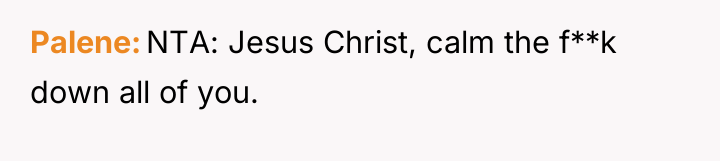 Palene NTA: Jesus Christ, calm the f**k down all of...