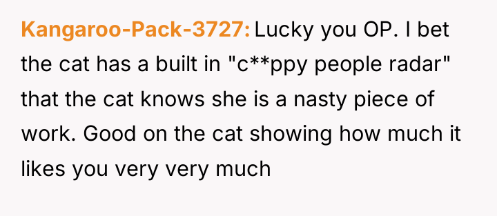 Kangaroo-Pack-3727 Lucky you OP. I bet the cat has a...