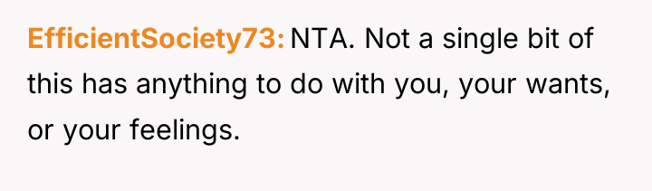 EfficientSociety73 NTA. Not a single bit of this has anything...