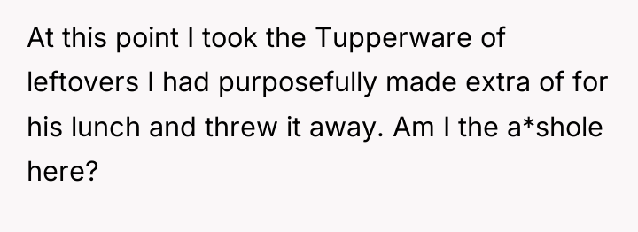 At this point I took the Tupperware of leftovers I...