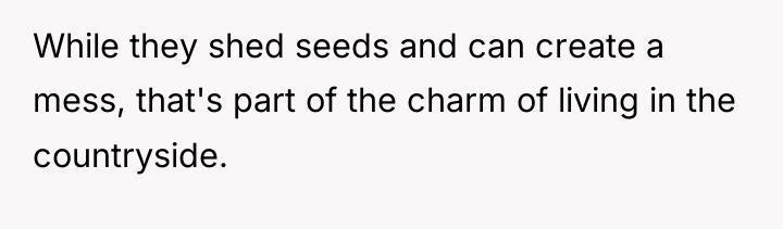 While they shed seeds and can create a mess, that's...