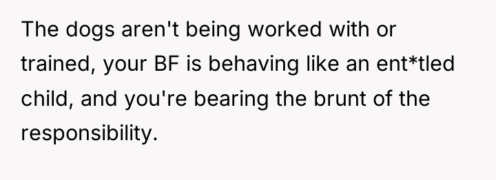 The dogs aren't being worked with or trained, your BF...