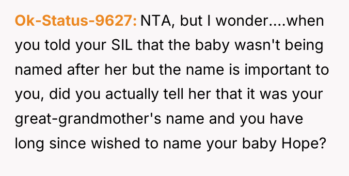 Ok-Status-9627 NTA, but I wonder....when you told your SIL that...