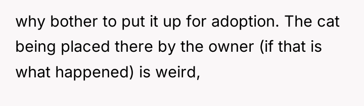 why bother to put it up for adoption. The cat...